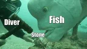 Fish annoying scuba diver meme template