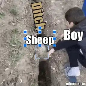 Sheep jumps back into a ditch meme template