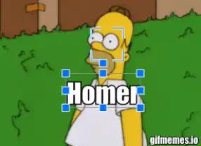 Homer: nothing to see here, bush meme template