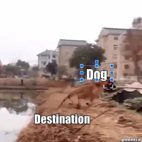 Dog jumps over water meme template